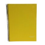 CUADERNOS ÑANDUTI 96 HOJAS RAYADO