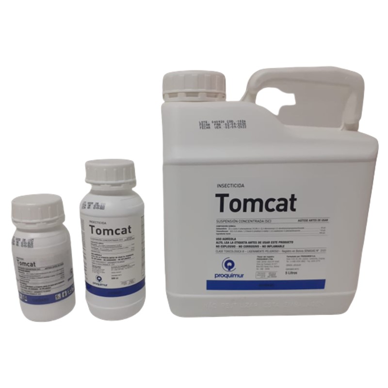 Diapositiva3-7 TOMCAT - Imagen 1