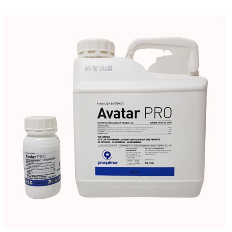 avatar-pro AVATAR PRO - Imagen 1